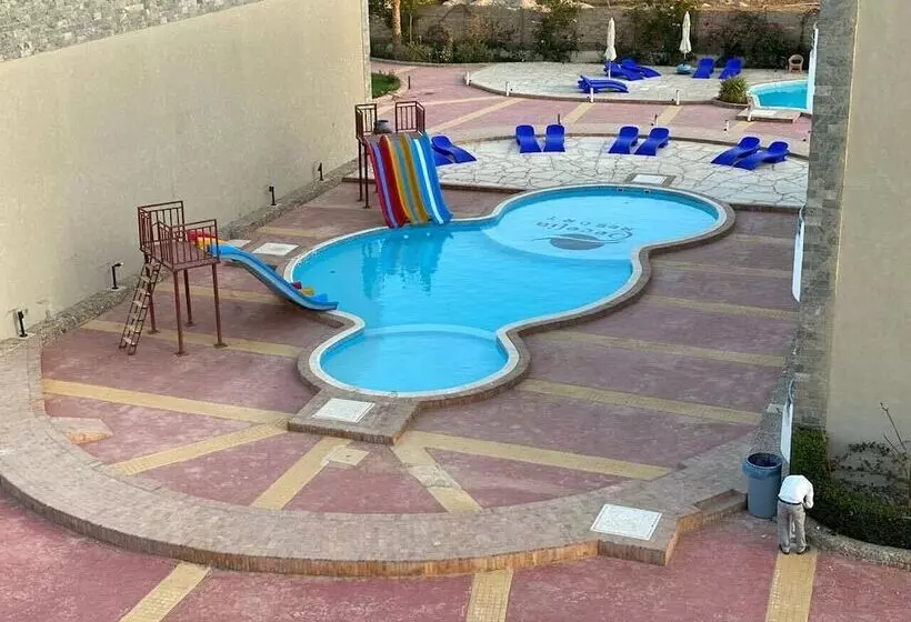 هتل Cecilia Hurghada