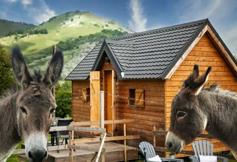 Maaseutuhotelli Cab ânes Du Pibeste