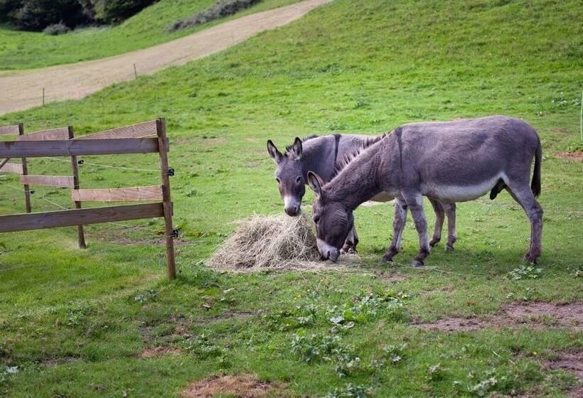 교외 호텔 Cab ânes Du Pibeste