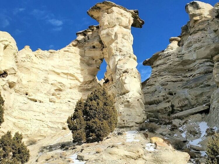 汽车旅馆 The Carter Inn