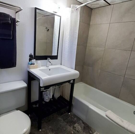 汽车旅馆 The Carter Inn