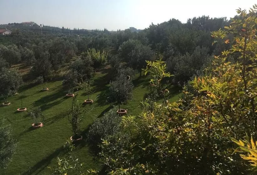 Mount Ida Detox Hotel Adults Only Izmir