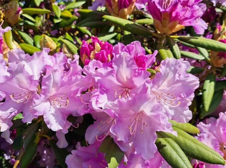 פנסיון Gîte A Bicyclette