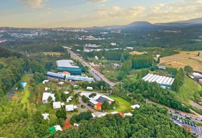 펜션 Seogwipo Campa Jeju