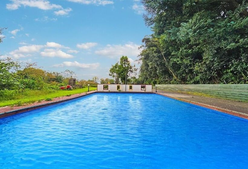 펜션 Seogwipo Campa Jeju