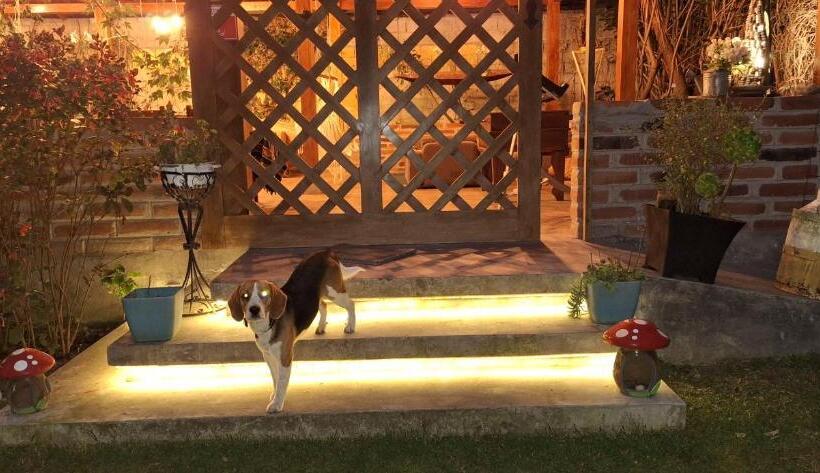 بنسيون Yellow Guest House A Boutique Andean Lodge