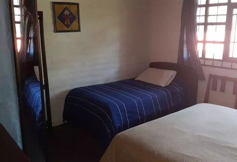 ペンション Yellow Guest House A Boutique Andean Lodge