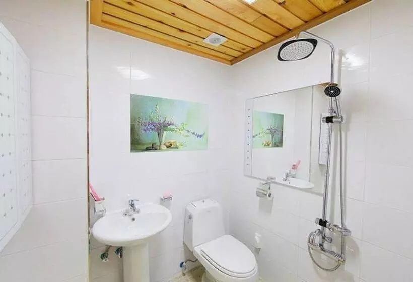 Boryeong Dalbitjeongwon Pension