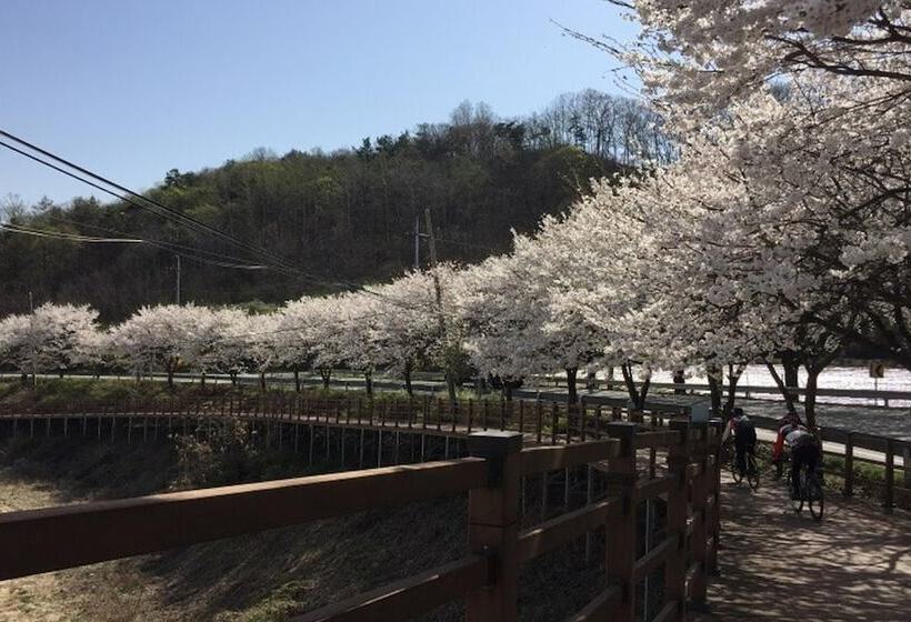 Chungju Wolsang 339 Pension