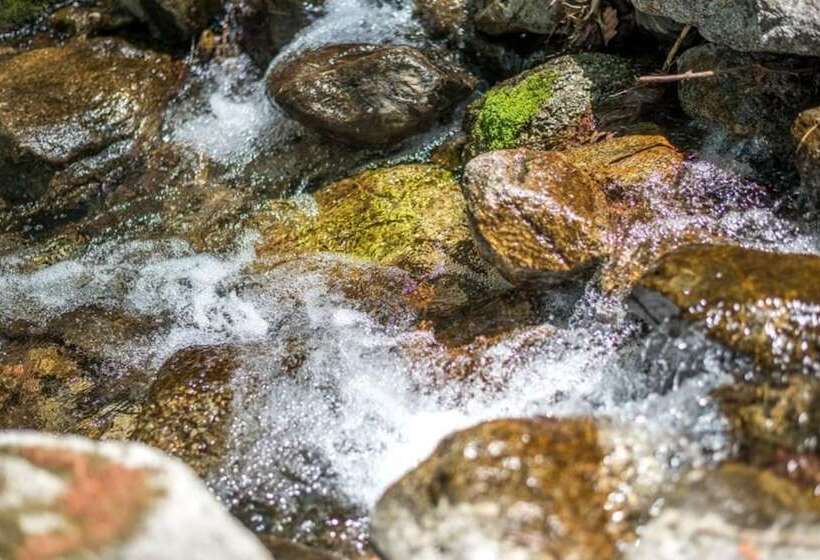 Gapyeong Blueberry Hill Pension