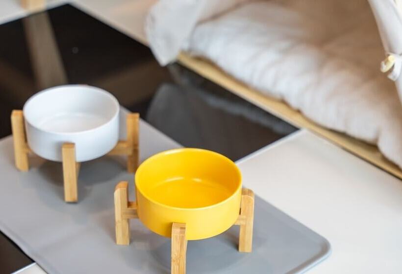 Gapyeong Chagall Spa Pension