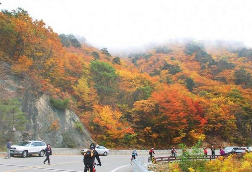 Goseong Paradise Cove Pension