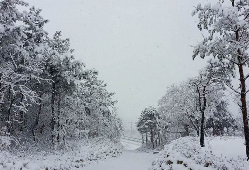 Goseong Sanmaru Pension
