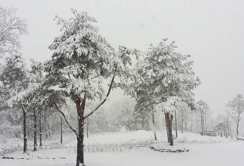 Goseong Sanmaru Pension