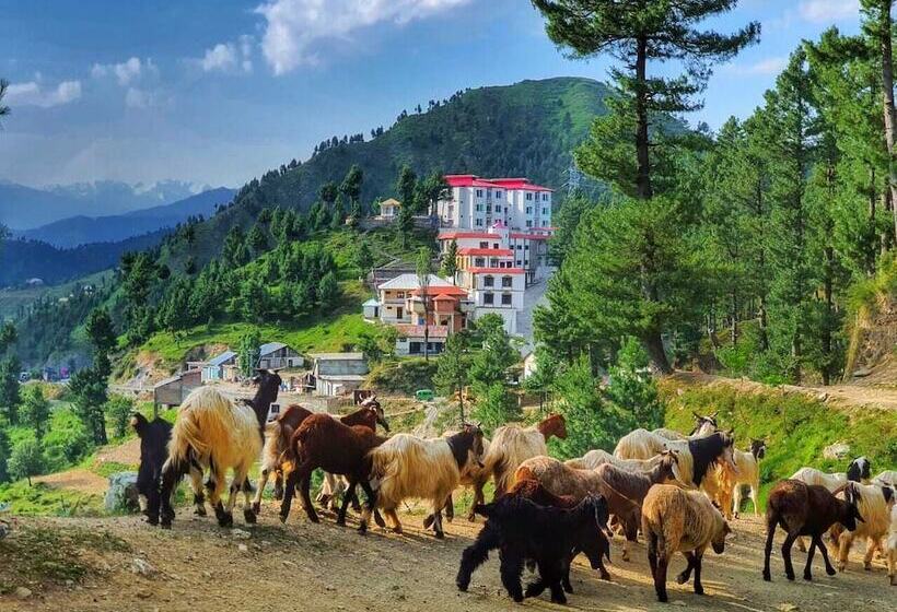 Green Hilton Hotel Shangla