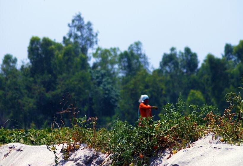 فندق Ganga Village Resort