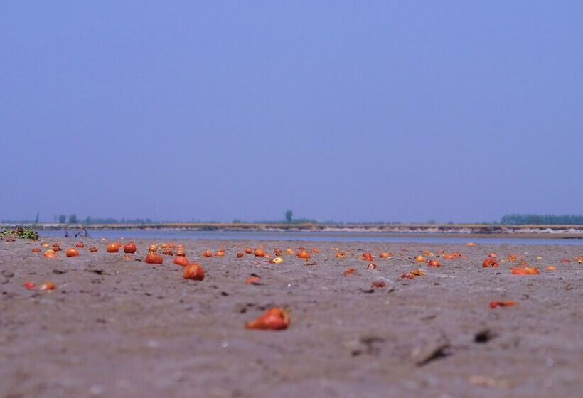 فندق Ganga Village Resort