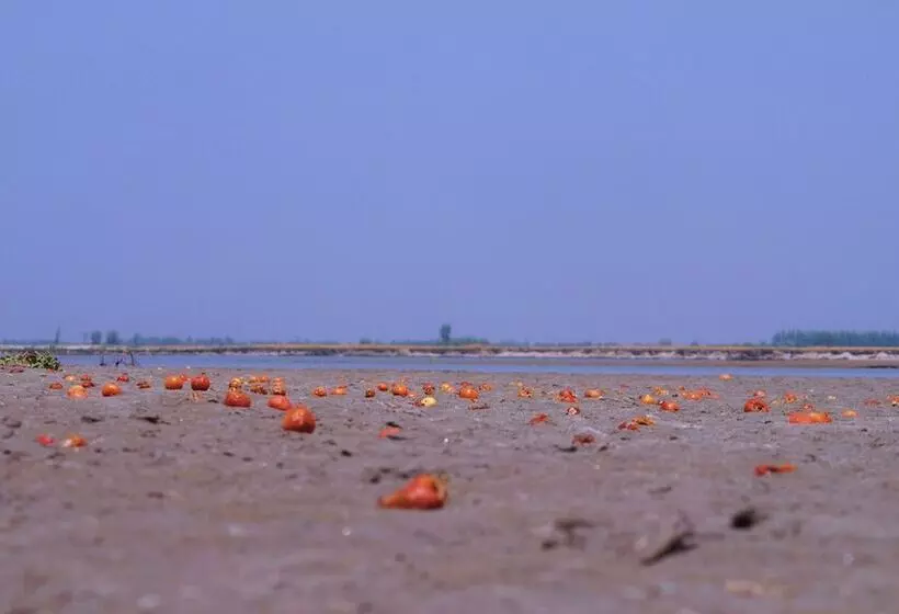 Hotelli Ganga Village Resort