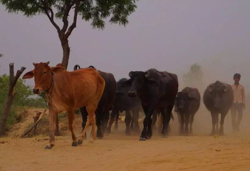 Hotelli Ganga Village Resort