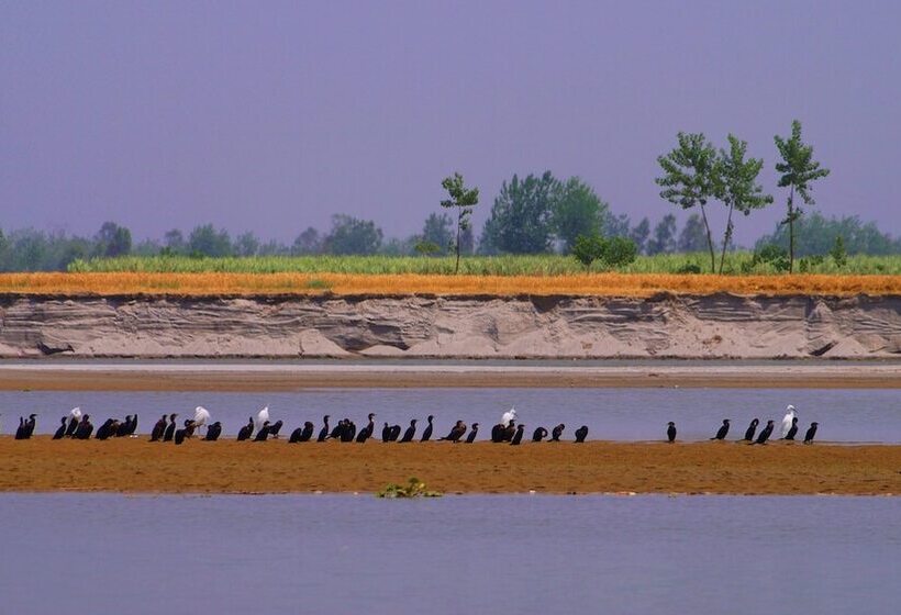 فندق Ganga Village Resort