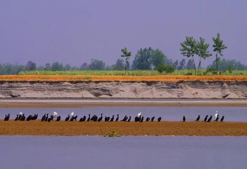 Hotelli Ganga Village Resort