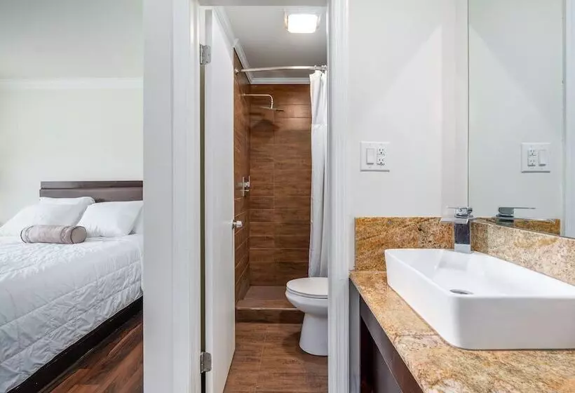 Hotelli Crewe Boutique Inn