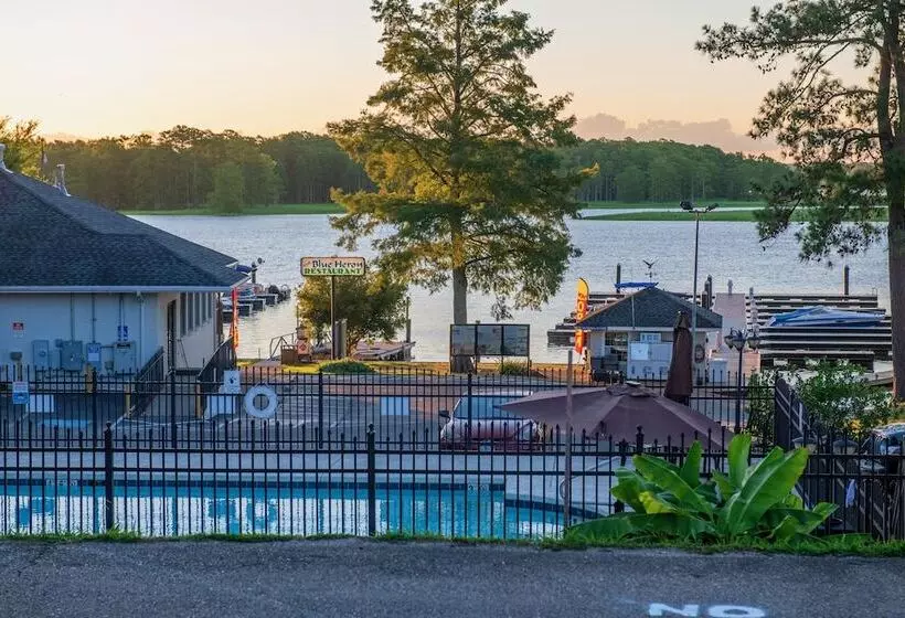 Hotelli Rivers Rest Resort