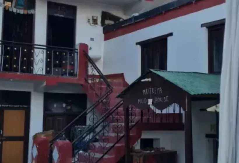 Piggy Hostel Kaza