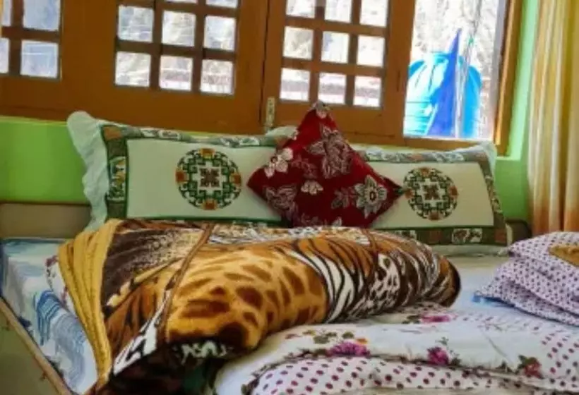 Piggy Hostel Kaza