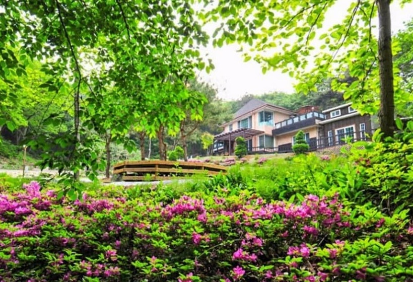 Yangpyeong Beatrice Pension