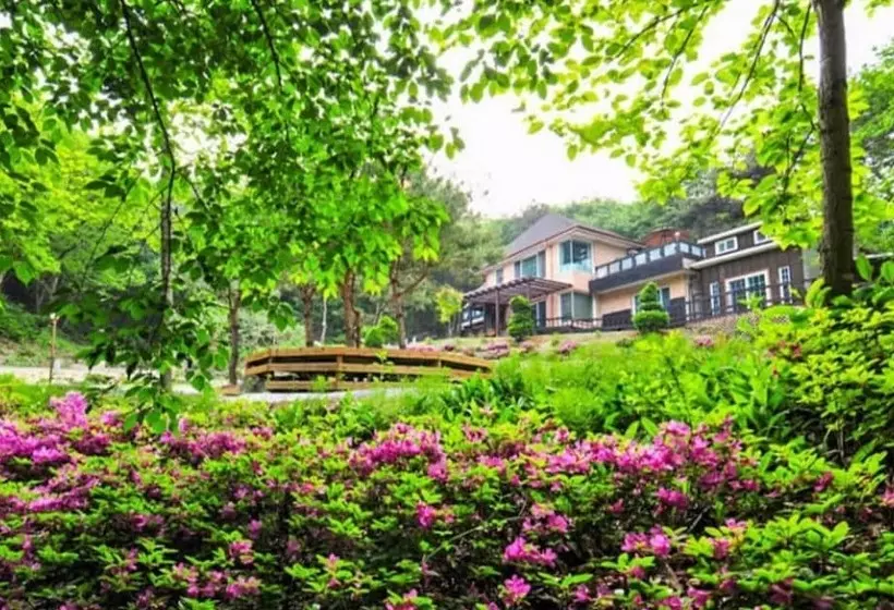 Yangpyeong Beatrice Pension