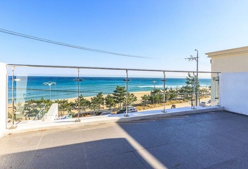 Yangyang Paniato Pension