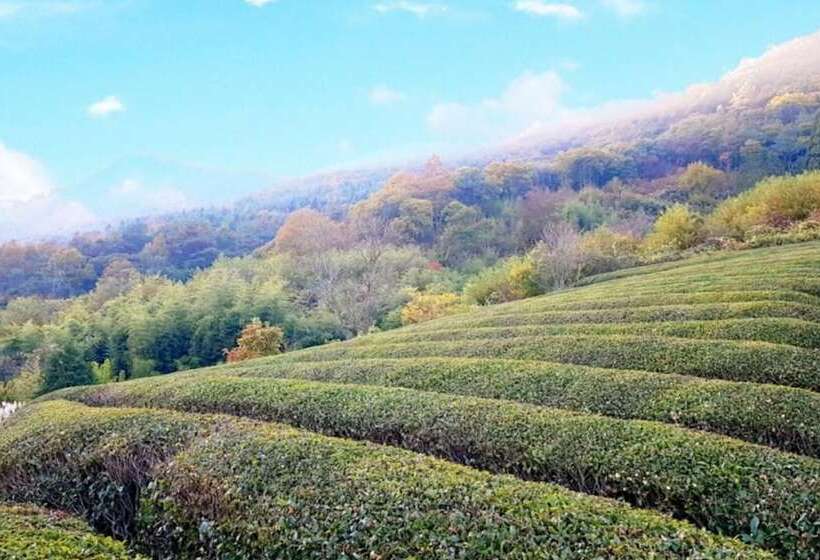 Pansiyon Boseong Sujinhanog Pensyeon