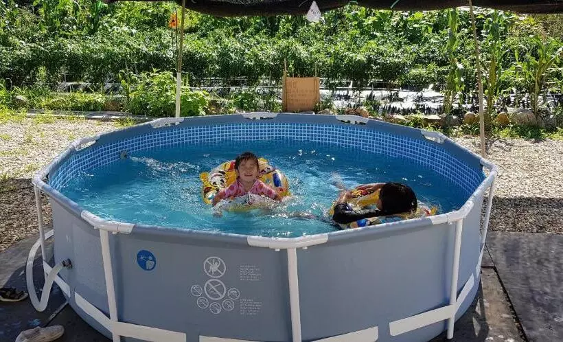 Majatalo Boseong Sujinhanog Pensyeon