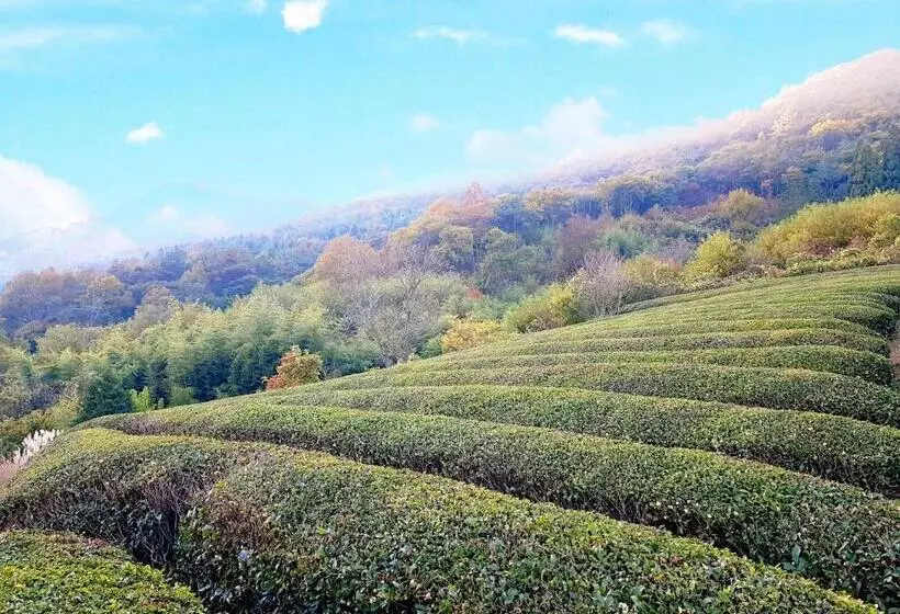 Majatalo Boseong Sujinhanog Pensyeon
