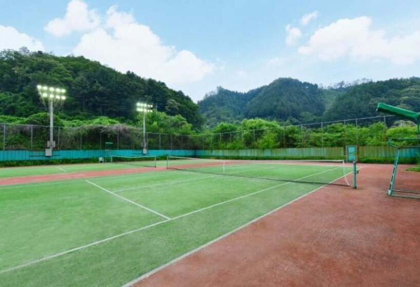 Chuncheon Aisan Tennis Pension