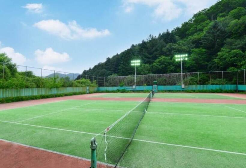 Chuncheon Aisan Tennis Pension