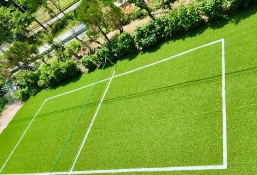 Chuncheon River Rail Pension