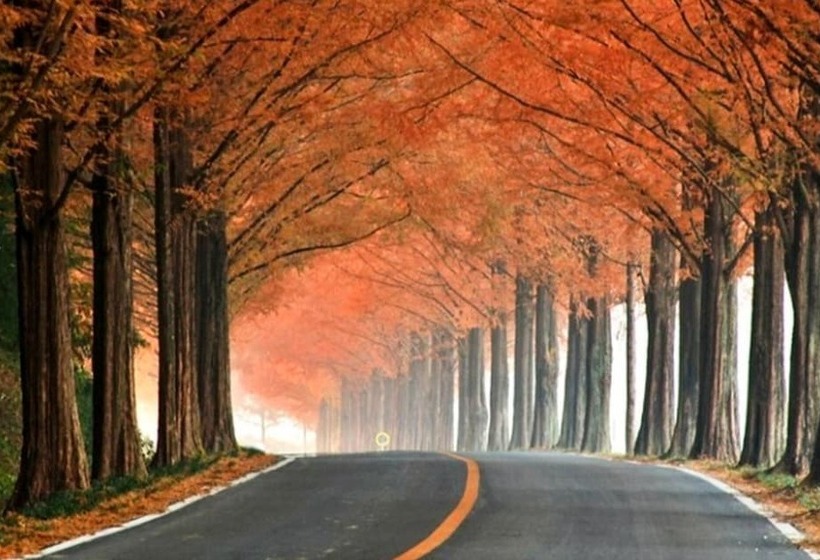 Damyang Daesupyeohaeng Pension