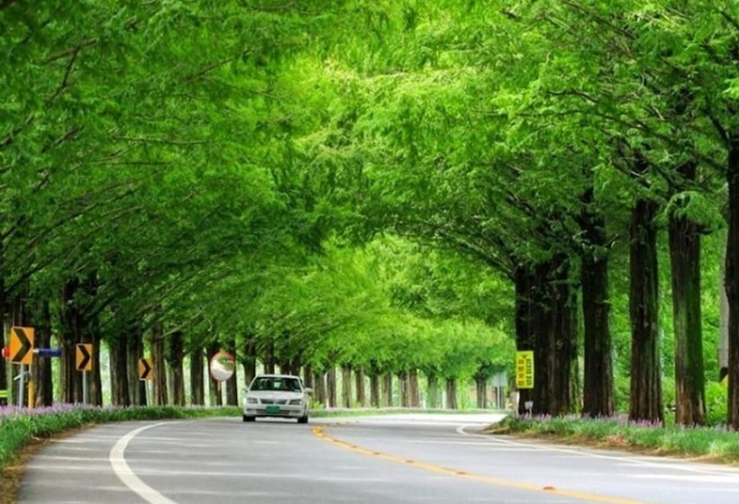 Damyang Daesupyeohaeng Pension