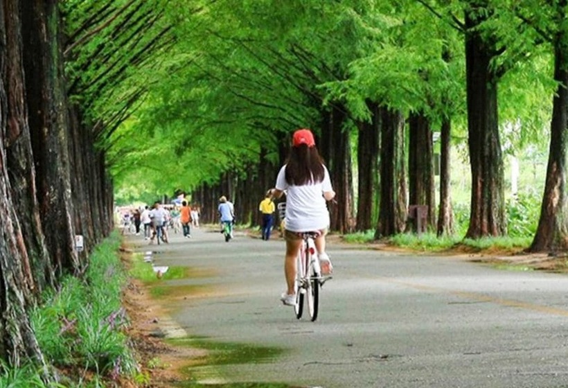 Damyang Daesupyeohaeng Pension