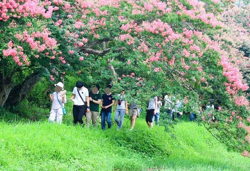 Damyang Daesupyeohaeng Pension