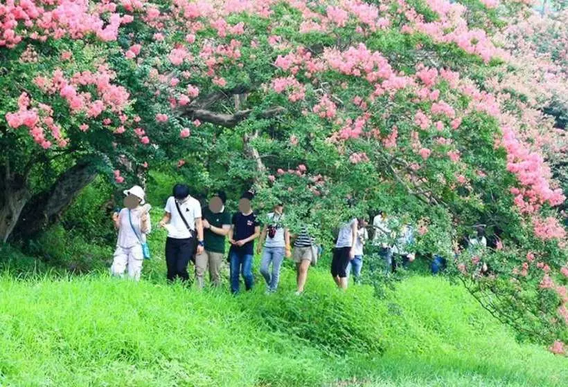 Damyang Daesupyeohaeng Pension