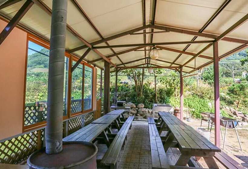 Danyang A Day In The Forest Pension