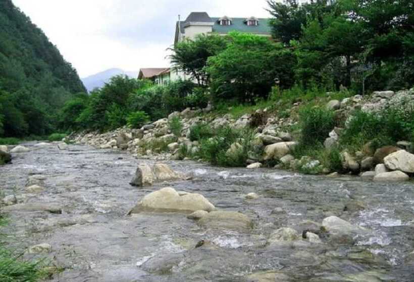 Danyang A Day In The Forest Pension