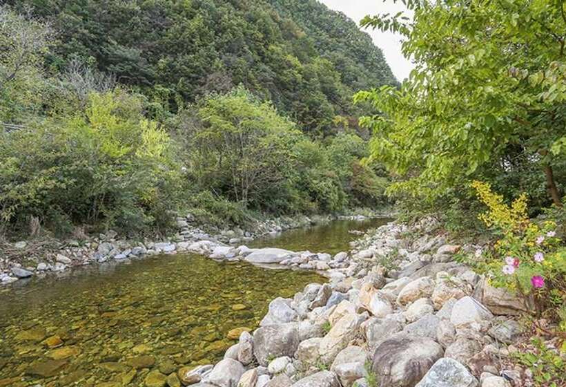 Danyang A Day In The Forest Pension