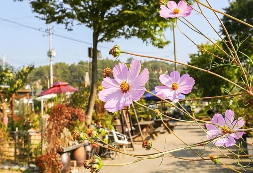 Danyang Sainam Landscape Pension