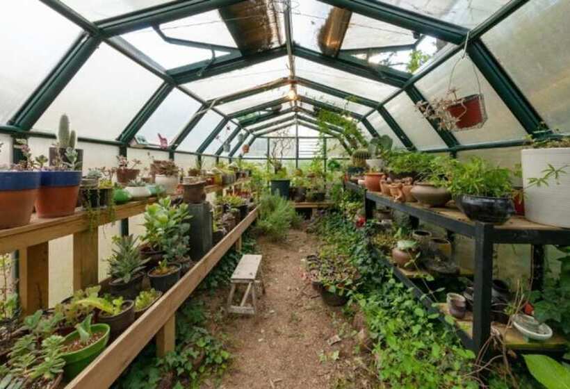 Fortune Pension Dolce Vita