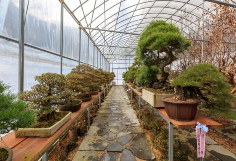 Gapyeong Suryuhwagaewon Pension