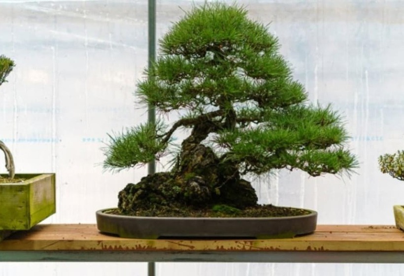 Gapyeong Suryuhwagaewon Pension